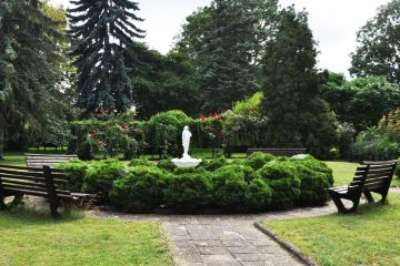 sanatorium max